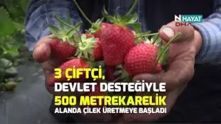 N Hayat... Bir ilçenin kaderi çilek ile değişti