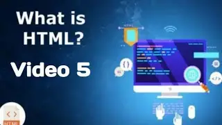 Input,Options,Lorem and Span.  
