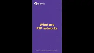 What are P2P Networks?