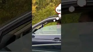 15 мая 2023 г.