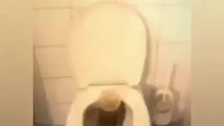КОКА КОЛА + МЕНТОС В ТУАЛЕТЕ
