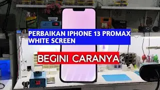 PERBAIKAN IPHONE 13 PROMAX WHITE SCREEN #iphone13promax #servicehp #serviceiphone #service