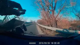 Встречка с конем!