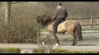 GPZ Aegidienberg - Happasæll