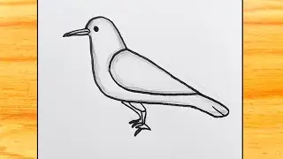 How to draw crow easy || crow bird drawing || drawing bird