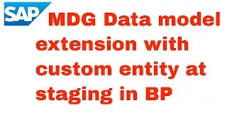 Data model extension with custom entity at staging level in BP