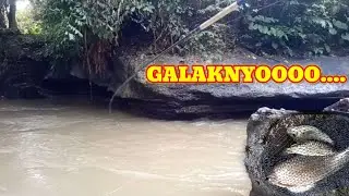 2 KALI MONCEL || AKHIRNYA BABON MELEM NAIK JUGA🤣