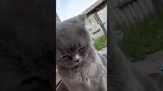 Поставь лайк 👍 