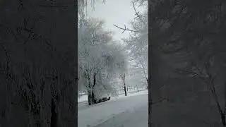 Чудесный иней в Воронеже! #shorts