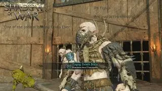 Shadow of War: Arena Pit Fights with the Coolest Looking Uruk Ever