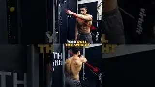 The 3 BEST Exercises For Your Rear Delts