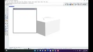 Middle Mouse Botton in Rhino 7
