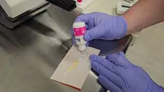Clinitek Urinalysis - Monthly QC