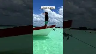 Qual sei preferido?