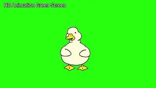 Duck Animation Green Screen
