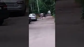 Попробовал покататься на мопеде #реки #мопедальфа  #первыйраз #мопед