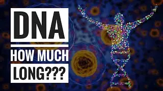 Measuring length of DNA using Augmented Reality!!!