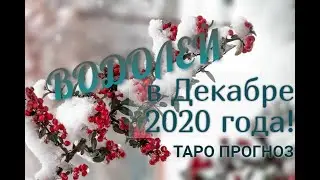ВОДОЛЕЙ! ТАРО ПРОГНОЗ НА ДЕКАБРЬ 2020 ГОДА!