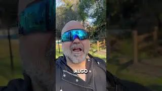 Razones para respetar a los animales