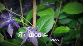 Як ішов я вчора