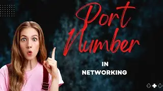 Port Number in Networking || Port Number in Hindi || CCNA