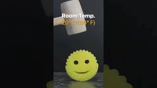 SCRUB DADDY vs. LIQUID NITROGEN 