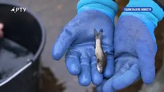 Удомельские новости 24.11.23
