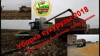 Уборка кукурузы 2018  Убирают два комбайна Ньюхолонд и Класс Лексион