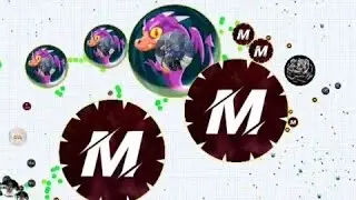 duo takeover (agario mobile)