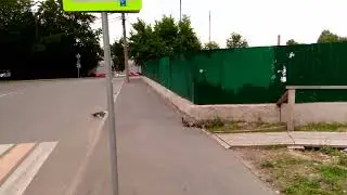 Веденее. МАМА Утка и Утята идут в Сторону Царицынских Прудов 20.06.2022 Года Москва.альхалия.