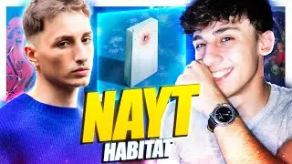 NAYT - HABITAT | Il DISCO DELL'ANNO. (Reaction a tutto il DISCO)
