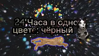 24 Часа в одном цвете! : Чёрный 🖤🖤🖤 | Даша Fox 🦊