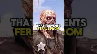 This Legendary Xbox Mod Should Have Been Included in Fallout 4