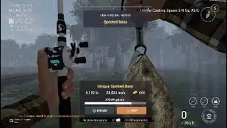 3 Straight - UNIQUE Bass