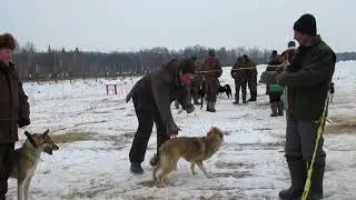 СРЕДНЯЯ ВОЗРАСТНАЯ ГРУППА!!!