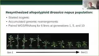 Kevin Bird, Michigan State University. Gene dosage constraints affect the transcriptional response..