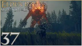 The Definition of Insanity | Elden Ring (Shadow of the Erdtree) #37