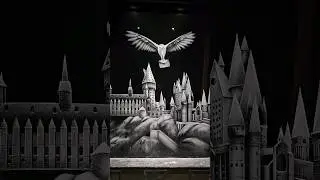 #harrypotter