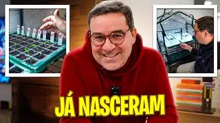 JÁ NASCERAM E SÃO LINDAS