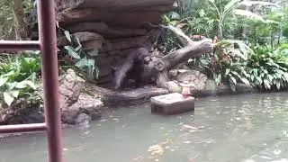 Jungle Cruise at Disneyland from our March 2023 trip