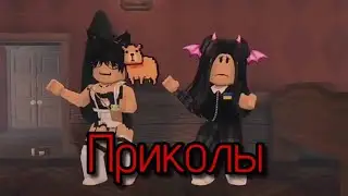 Приколы с Матвеем