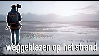 WEGGEBLAZEN op het strand - LANDSCHAPSFOTOGRAFIE in OOSTVOORNE