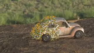 VW out to Pasture