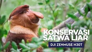 Konservasi Satwa Liar Menggunakan Drone DJI Zenmuse H30T