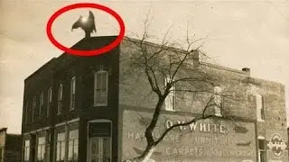 10 criaturas misteriosas que até hoje está sem explicação