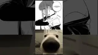 пёс нюхает
