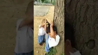 У шу, а может и не У шу
