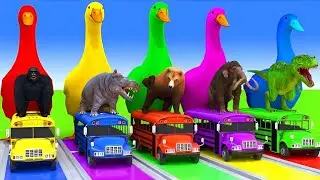 5 Giant Duck Cartoon,Cow,Elephant,Tiger,Lion,Dinosaur,Paint Wild Animals Crossing Fountain Animation