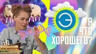 Спасение Арала, устрицы против наводнений, Додо возвращается, гипоаллергенные кошки #хорошиеновости.