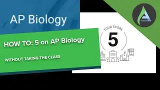 How to guarantee a 5 on AP Biology